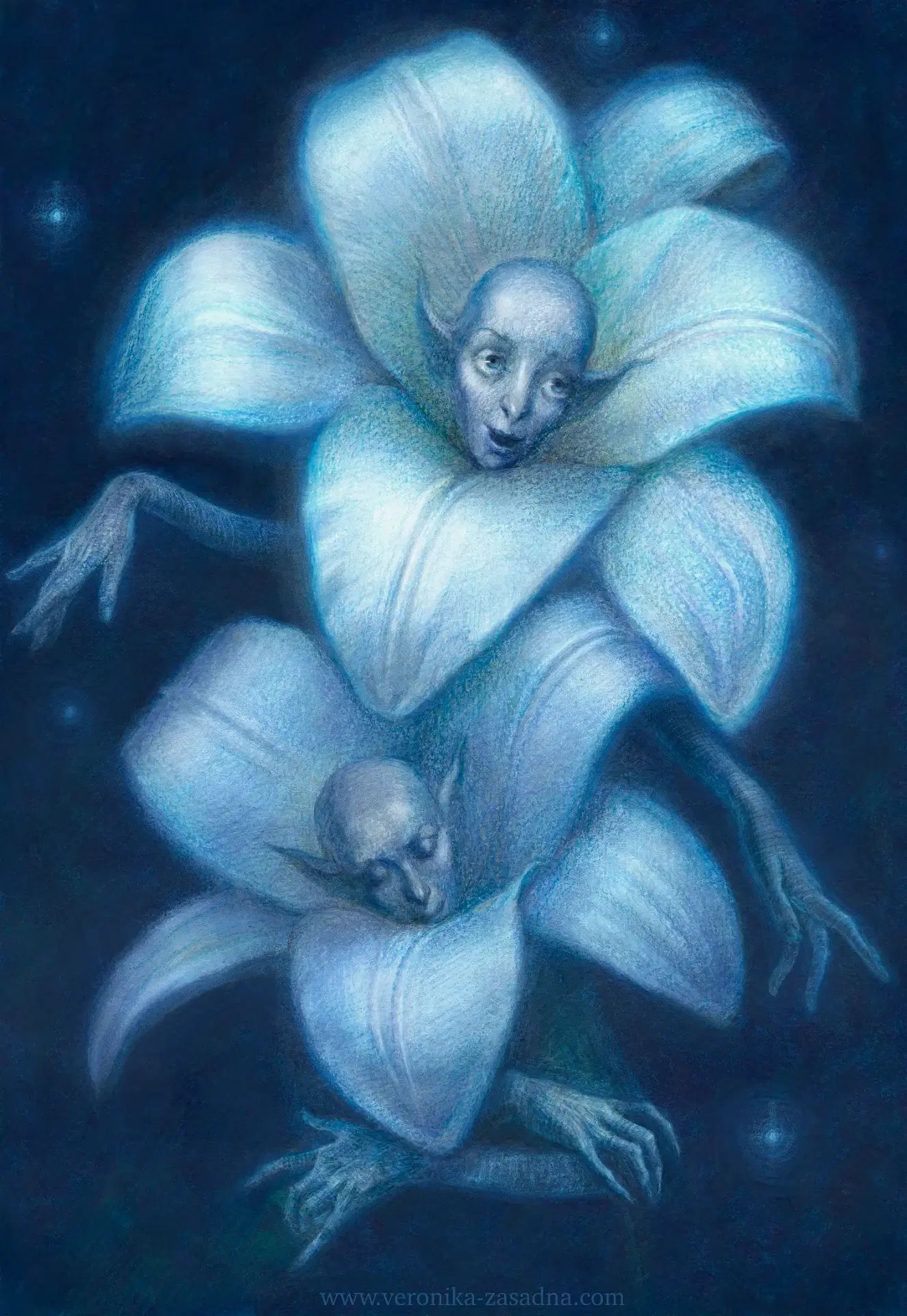 Lilies 
