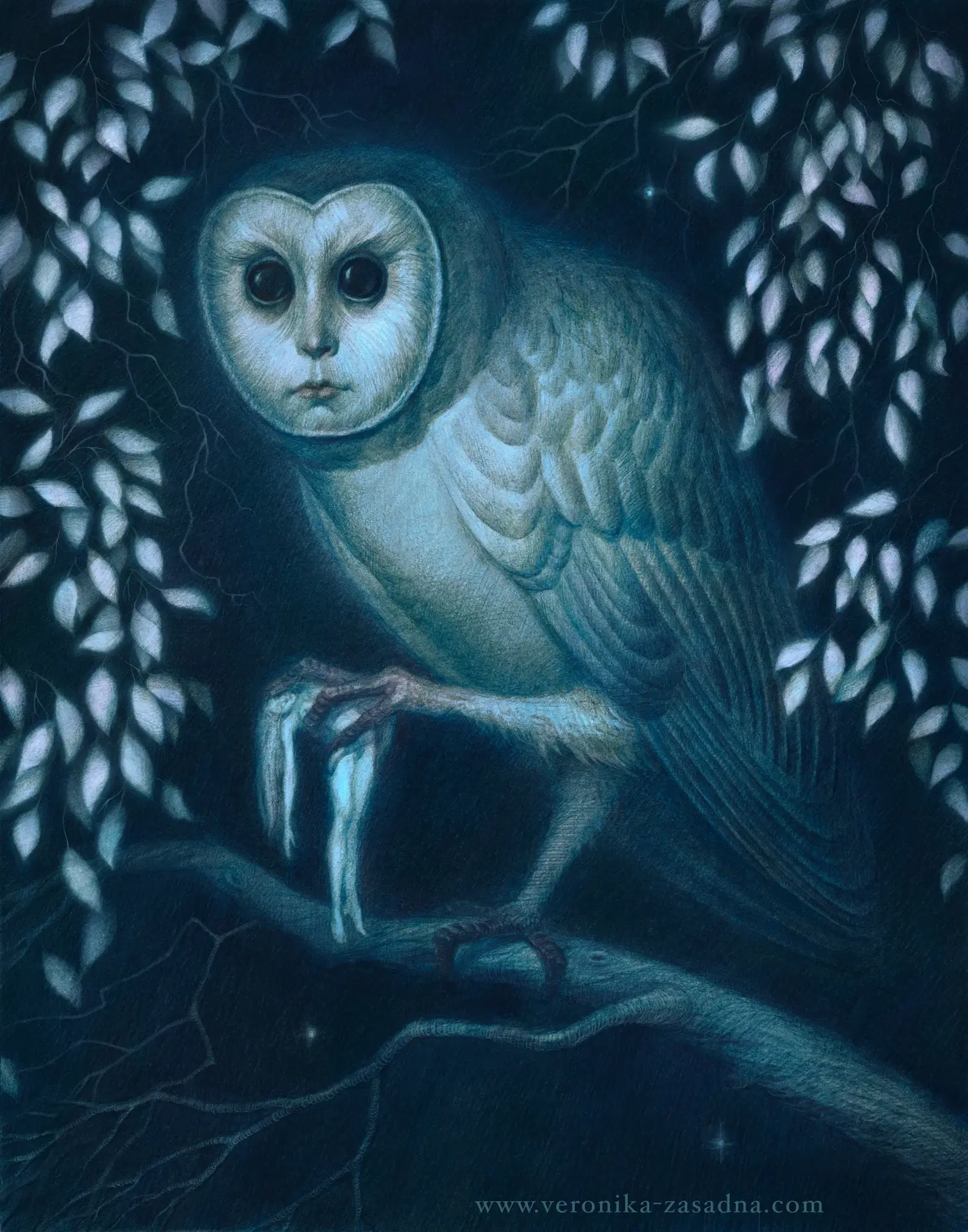 The Owl