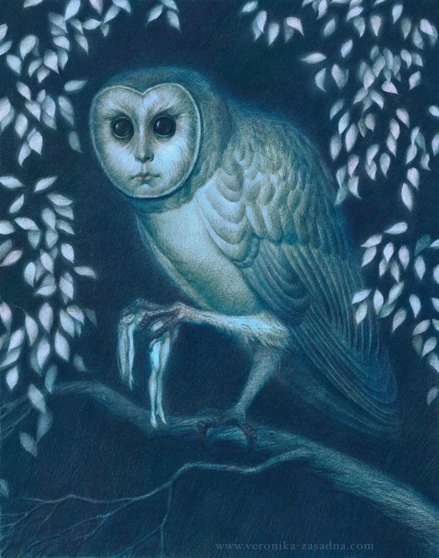 The owl 